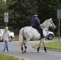 Drivers advised on horse safety